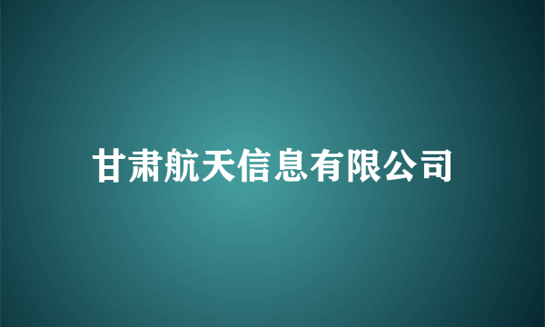 甘肃航天信息有限公司