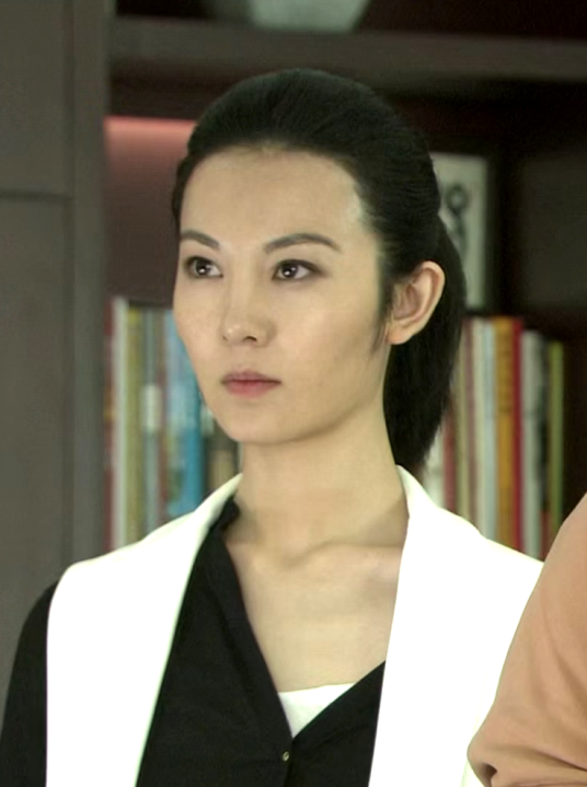 姚云（电视剧《特种兵之火凤凰》人物）