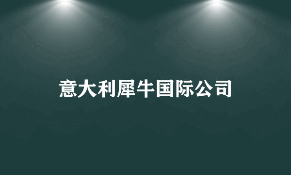 意大利犀牛国际公司