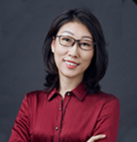 高辉（北京易华录信息技术股份有限公司董事、总裁）