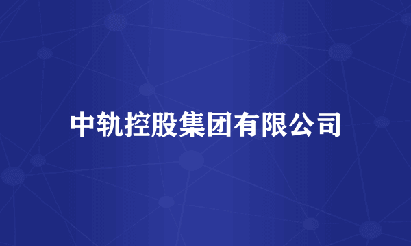 中轨控股集团有限公司