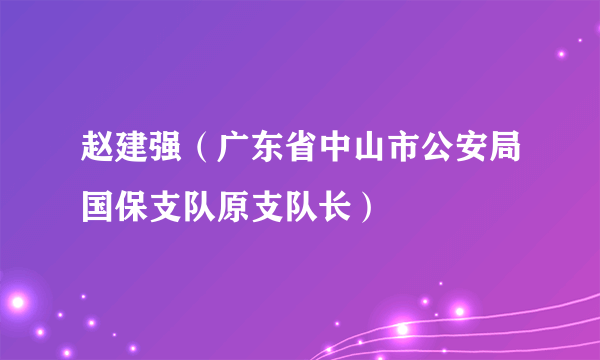 赵建强（广东省中山市公安局国保支队原支队长）