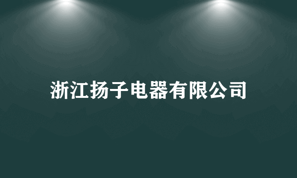浙江扬子电器有限公司