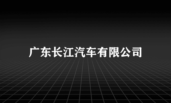 广东长江汽车有限公司
