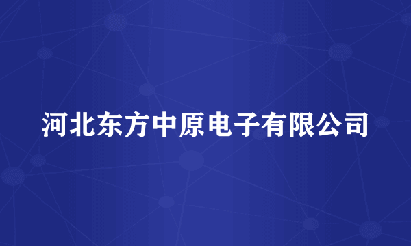 河北东方中原电子有限公司