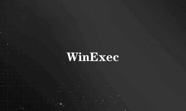 WinExec