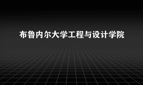 布鲁内尔大学工程与设计学院