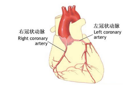 冠状动脉栓塞