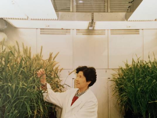 徐惠君（中国农业科学院作物科学研究所研究员）