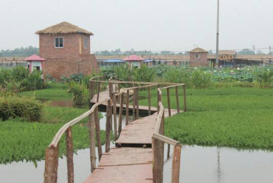 雅美佳湿地公园