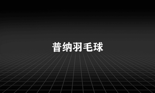 普纳羽毛球