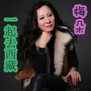一起去西藏（梅朵演唱的歌曲）