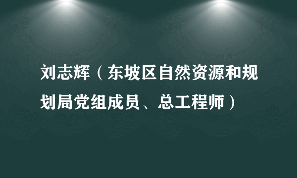 刘志辉（东坡区自然资源和规划局党组成员、总工程师）