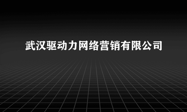 武汉驱动力网络营销有限公司