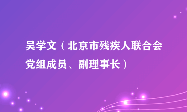 吴学文（北京市残疾人联合会党组成员、副理事长）