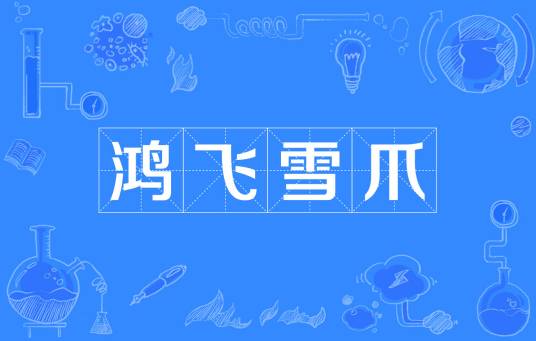 鸿飞雪爪