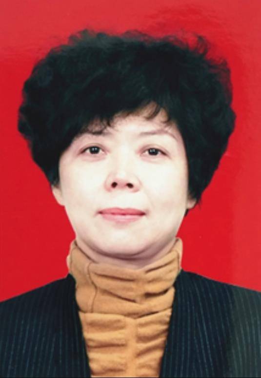 李彩霞（河南省平顶山市卫东区人大常委会主任）