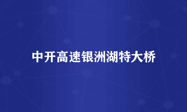 中开高速银洲湖特大桥