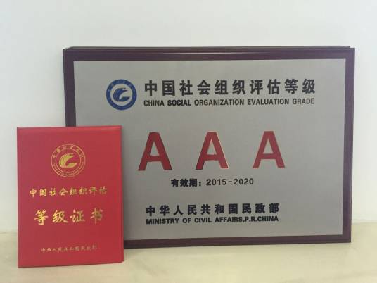 社会组织等级