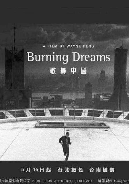 歌舞中国（2003年彭文淳执导纪录片）