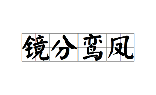 镜分鸾凤