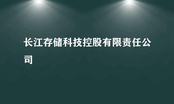 长江存储科技控股有限责任公司