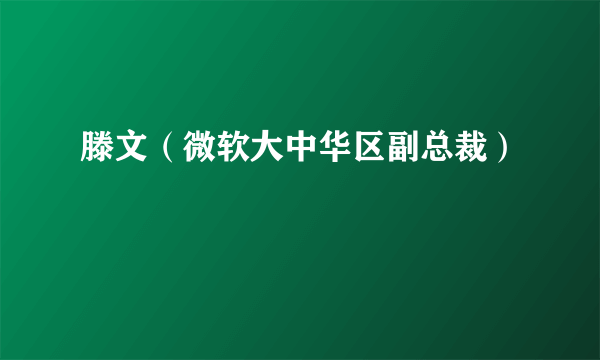 滕文（微软大中华区副总裁）