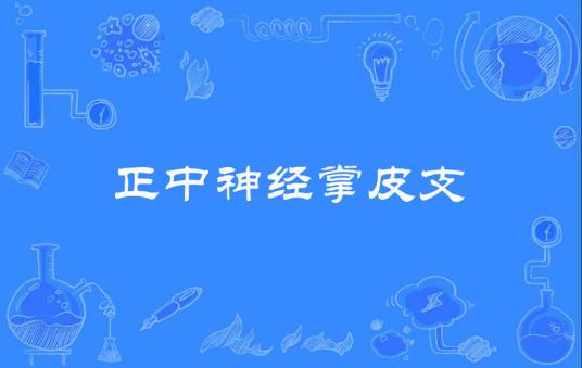 正中神经掌皮支