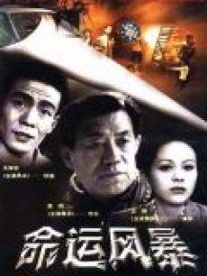 命运风暴（1998年张伟和姜运民联合执导的电视剧）