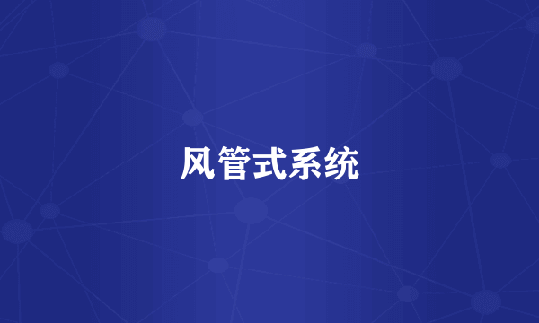 风管式系统