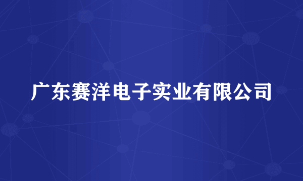 广东赛洋电子实业有限公司