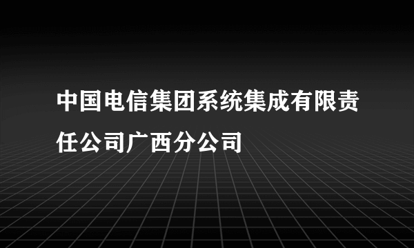 中国电信集团系统集成有限责任公司广西分公司