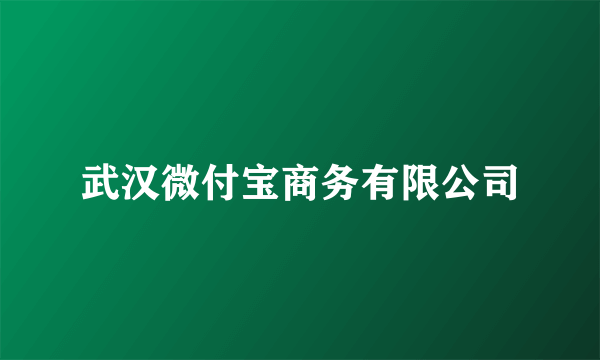 武汉微付宝商务有限公司