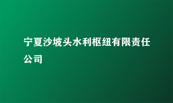 宁夏沙坡头水利枢纽有限责任公司