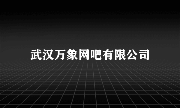 武汉万象网吧有限公司