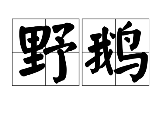 野鹅