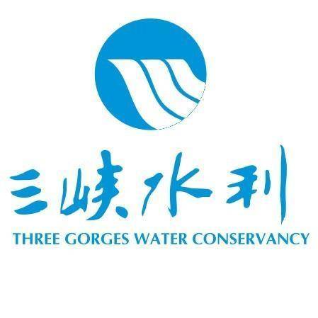 重庆三峡水利电力（集团）股份有限公司
