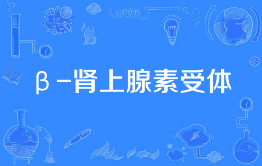 β-肾上腺素受体