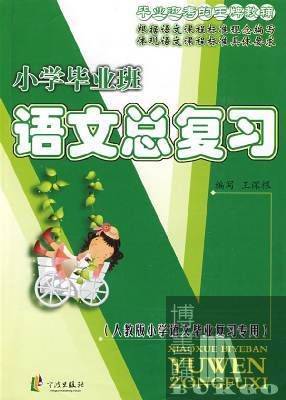 小学毕业班语文总复习