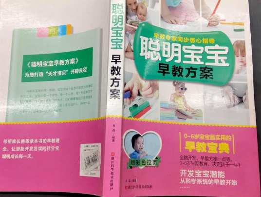 聪明宝宝早教方案