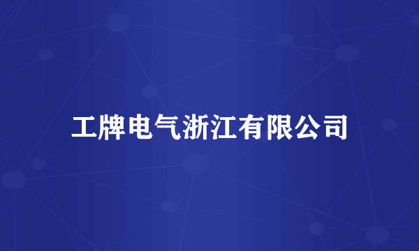 工牌电气浙江有限公司