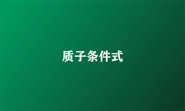 质子条件式