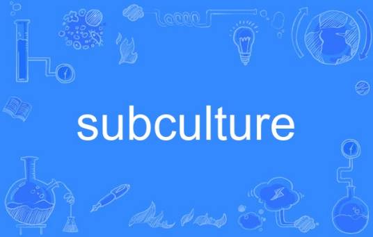 subculture（英语单词）