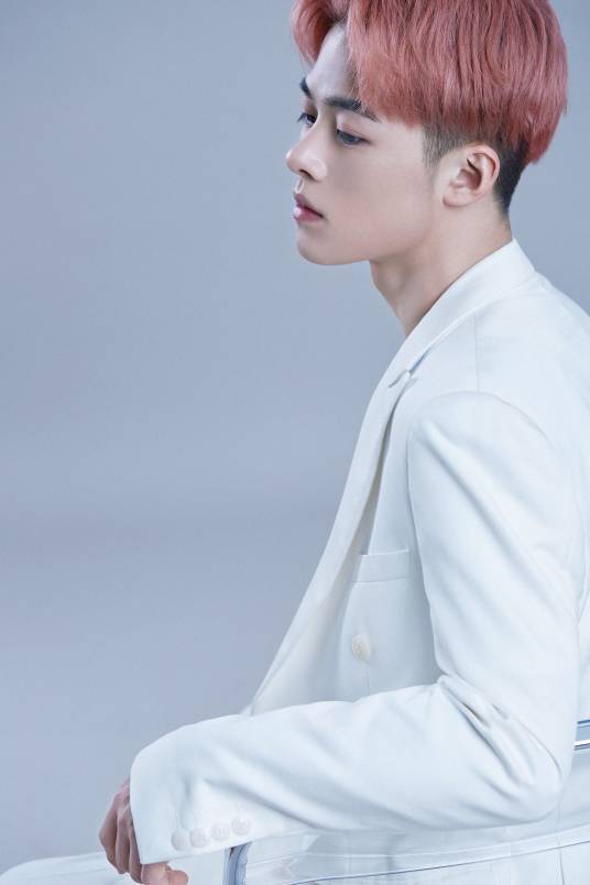 黄润秋（变形计主人公）