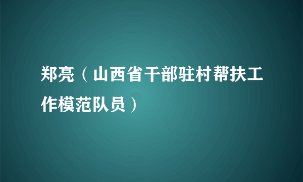 郑亮（山西省干部驻村帮扶工作模范队员）