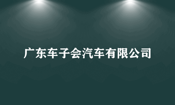 广东车子会汽车有限公司