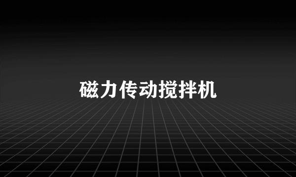 磁力传动搅拌机