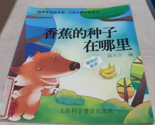 香蕉的种子在哪里