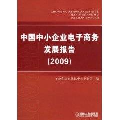 中国中小企业电子商务发展报告(2009)