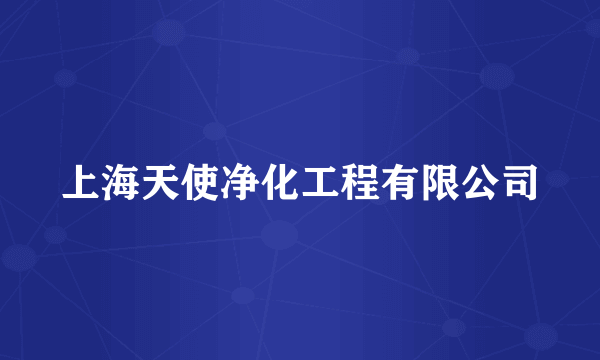 上海天使净化工程有限公司